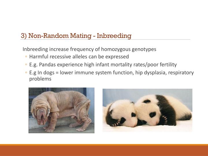 PPT Section 9.1 Mechanisms of Evolution and Effect on Populations