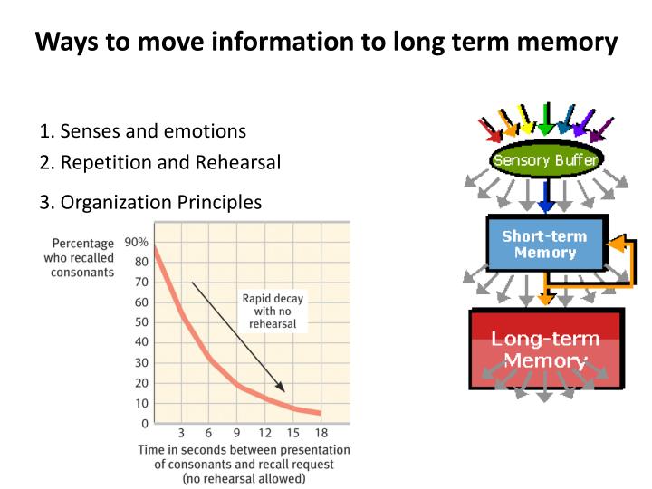 Drugs to improve memory recall picture 1