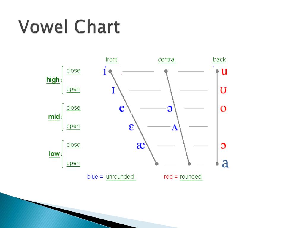 Phonetic Vowel Sounds Chart Fundations Imagesee