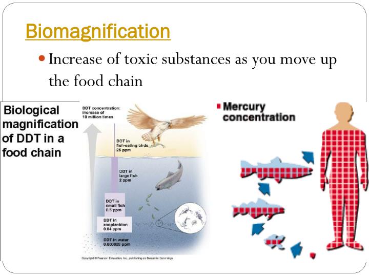 Ecosystem health PowerPoint Presentation Biology Diagrams