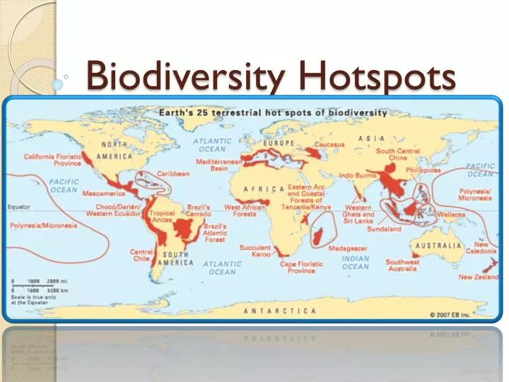 ppt-biodiversity-hotspots-powerpoint-presentation-id-2146489