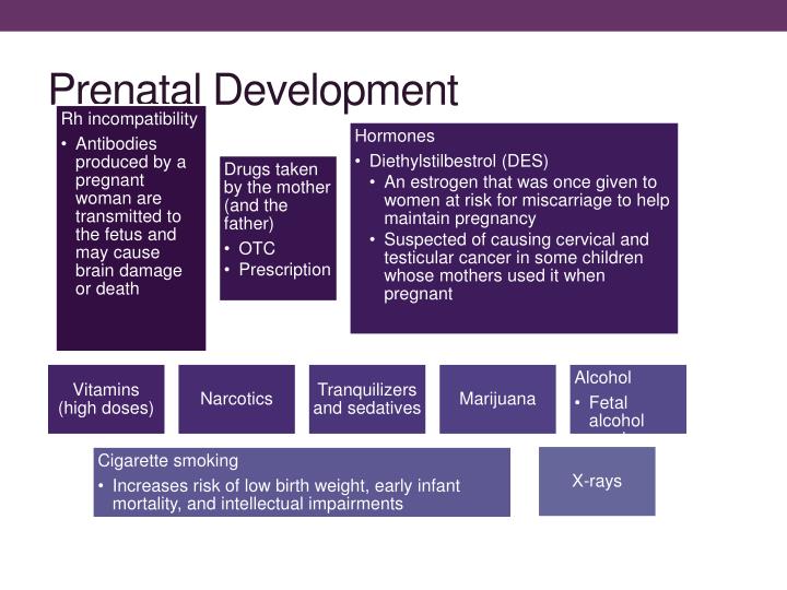 prenatal and postpartum scenaqrio Prenatal and postpartum scenaqrio prenatal and postpartum scenario darnell dill dawn muhammad psy/280 august 20, 2013 hey, i’m here to discuss your feelings and. prenatal and postpartum scenaqrio Prenatal and postpartum scenaqrio prenatal and postpartum scenario darnell dill dawn muhammad psy/280 august 20, 2013 hey, i’m here to discuss your feelings and.