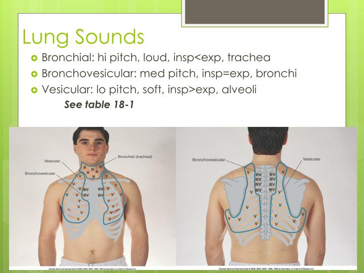 croup lung sounds croup lung sounds