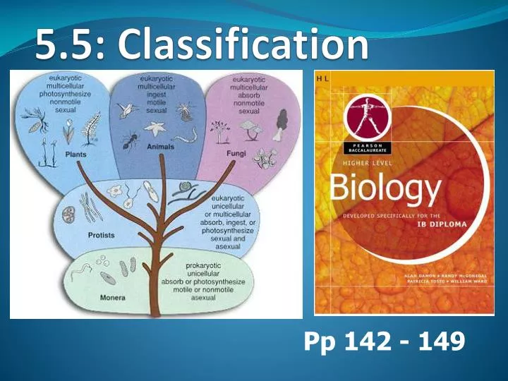 Classification Essay Topics
