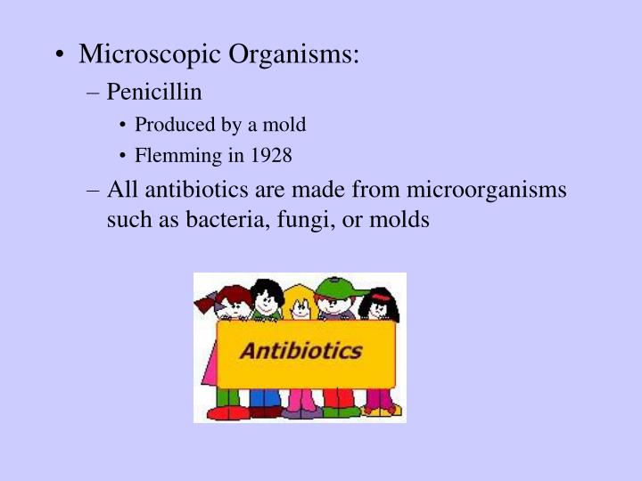 penicillin other drugs in same class