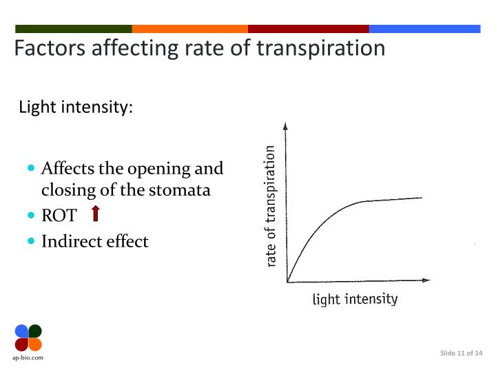 factors affecting crime rate Predicting crime: the review of research while this summary analyses how future crime rates there are a number of factors that influence the scope of crime. factors affecting crime rate Predicting crime: the review of research while this summary analyses how future crime rates there are a number of factors that influence the scope of crime.