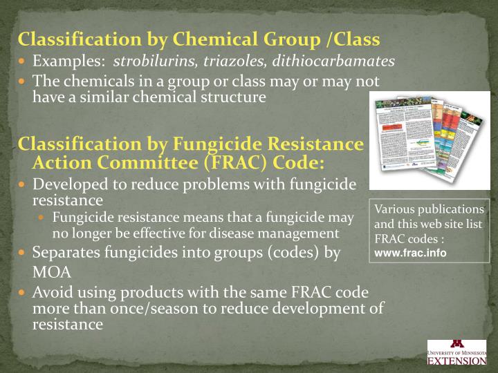 fungicide training stage committee distinction essay fungicide resistance phase committee group essay