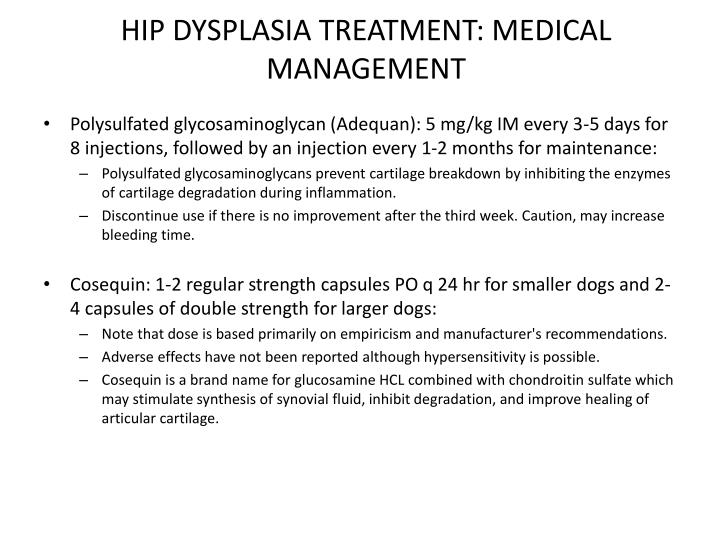 Hip Dysplasia Treatment Dogs Natural Hip Dysplasia Treatment Dogs Natural