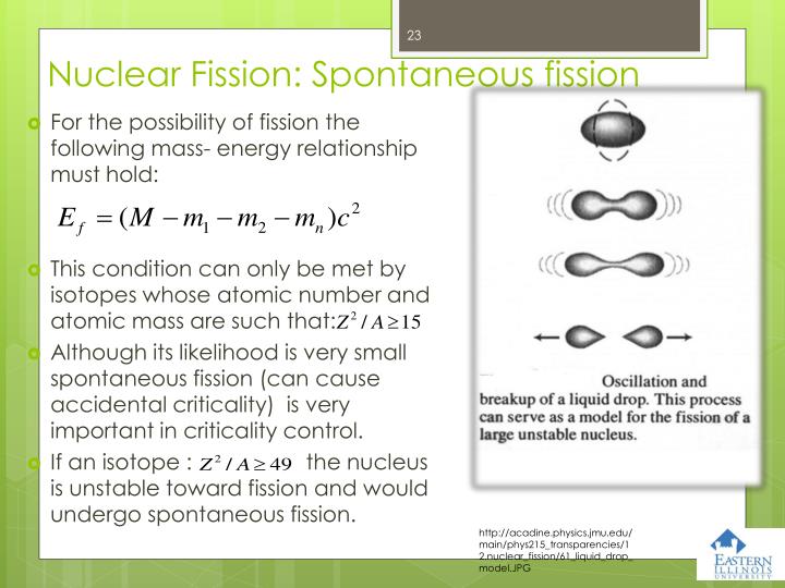 list of spontaneous fission rates