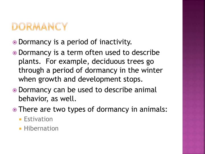 PPT Behavioral And Structural Adaptations PowerPoint Presentation