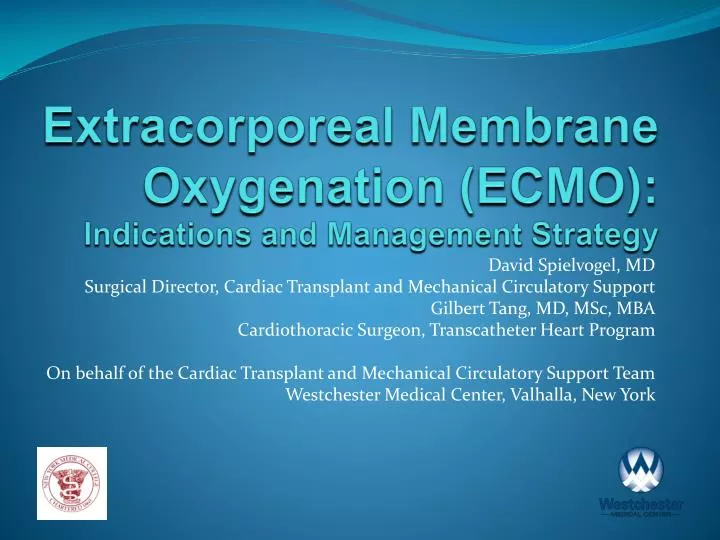 What is ecmo in adults