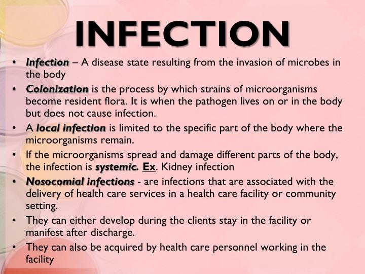 PPT MICROORGANISMS PowerPoint Presentation ID 2188967 ppt-microorganisms-powerpoint-presentation-id-2188967