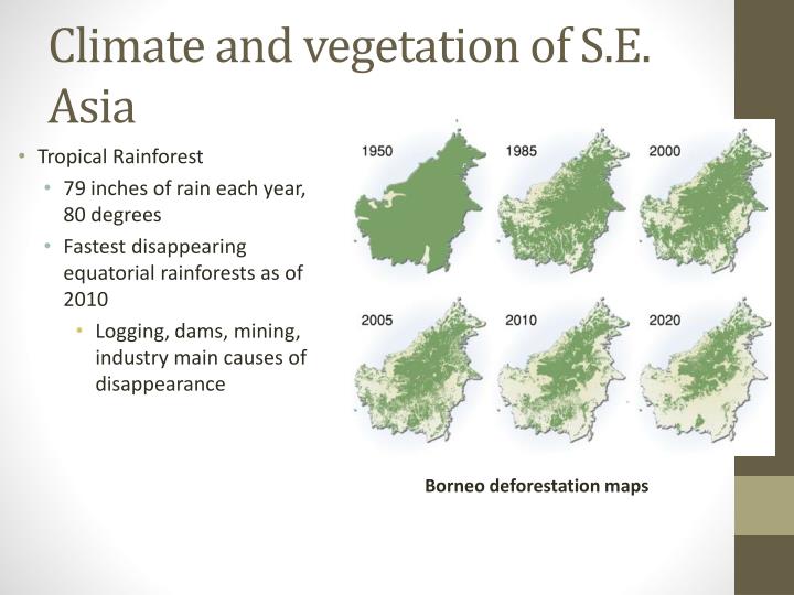 the climate and vegetation of shanghai Speed and vegetation ndvi in shanghai the growth of uhi in shanghai has been driven by the continuous increase of buildings, paved roads, buses, population and gdp, as well as the decrease of cultivated land boosting the area of green land in urban areas has to a certain extent mitigated the uhi in shanghai in recent years 2012 elsevier bv 1. the climate and vegetation of shanghai Speed and vegetation ndvi in shanghai the growth of uhi in shanghai has been driven by the continuous increase of buildings, paved roads, buses, population and gdp, as well as the decrease of cultivated land boosting the area of green land in urban areas has to a certain extent mitigated the uhi in shanghai in recent years 2012 elsevier bv 1.
