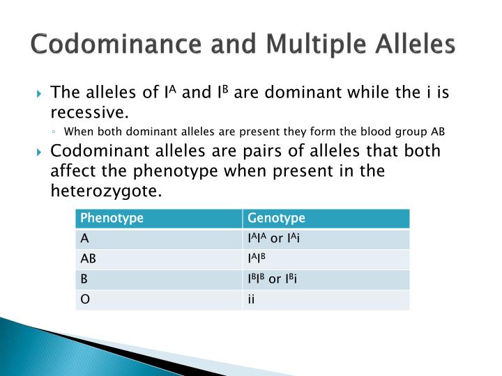 codominance-worksheet-blood-types-answer-key