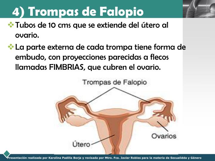 El dolor simultáneo en el cuello y los riñones