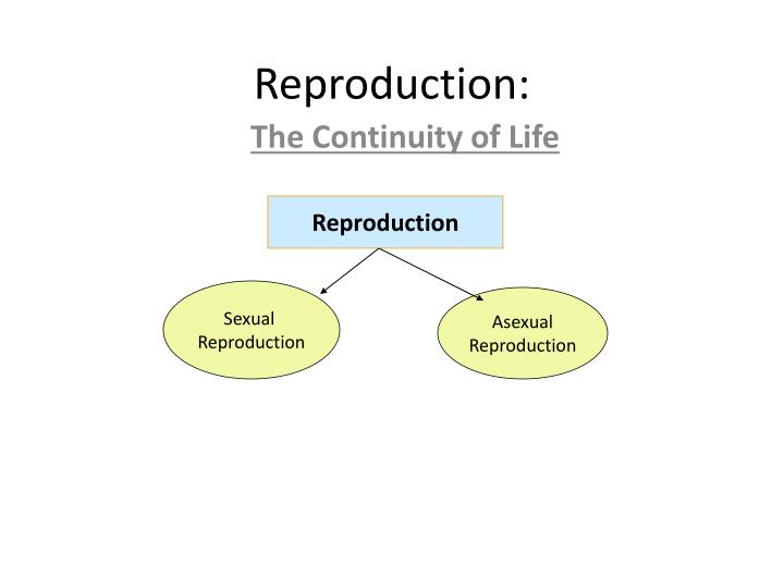 Ppt Asexual Vs Sexual Reproduction Powerpoint Presentation Id2256582 2288