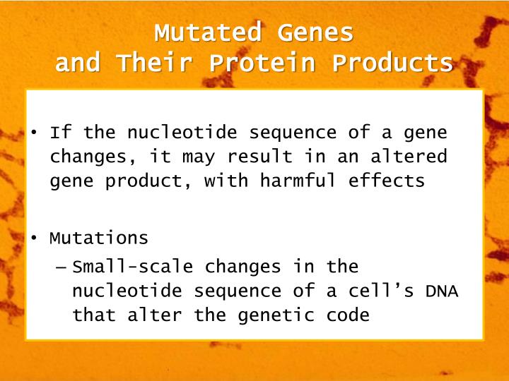 protein and mutated gene sequence Cystic fibrosis and cftr gene in certain cases the mutated mrna is unstable and doesnèt protein or the protein containing the aberrant sequence. protein and mutated gene sequence Cystic fibrosis and cftr gene in certain cases the mutated mrna is unstable and doesnèt protein or the protein containing the aberrant sequence.