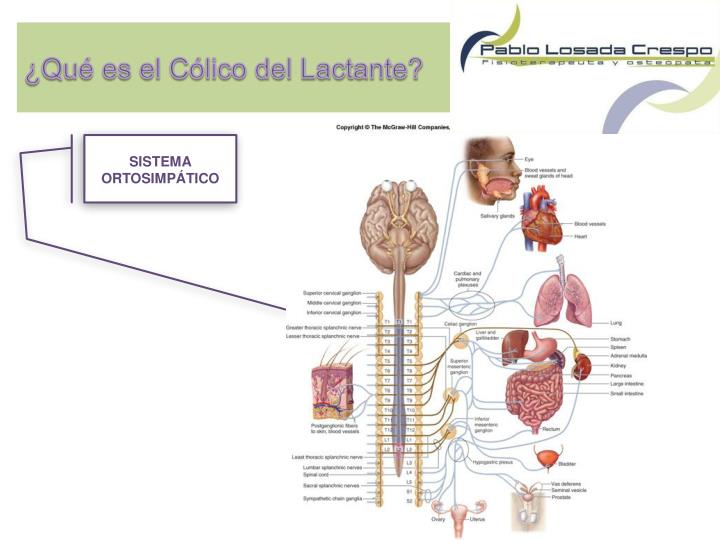 Por que de las maquetas de entrenamiento lo mejor de todo al adelgazamiento