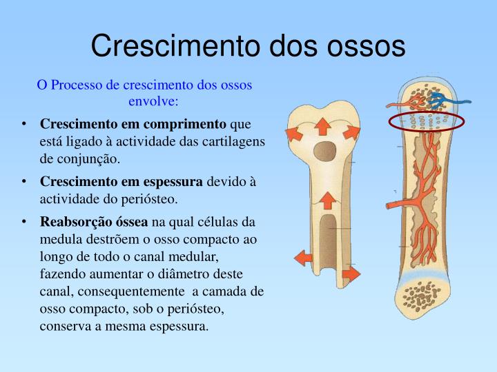 Que contar à menina quando diz que tem um pequeno pênis