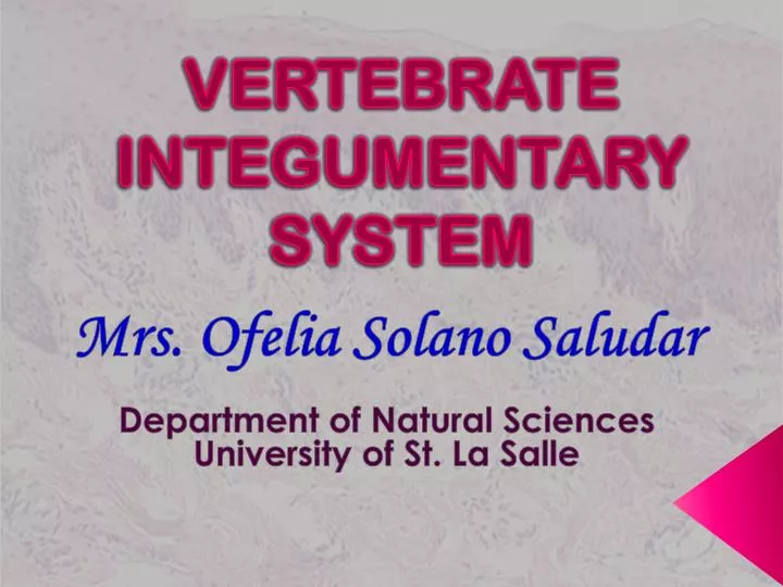 integumentary system essay integumentary system essay