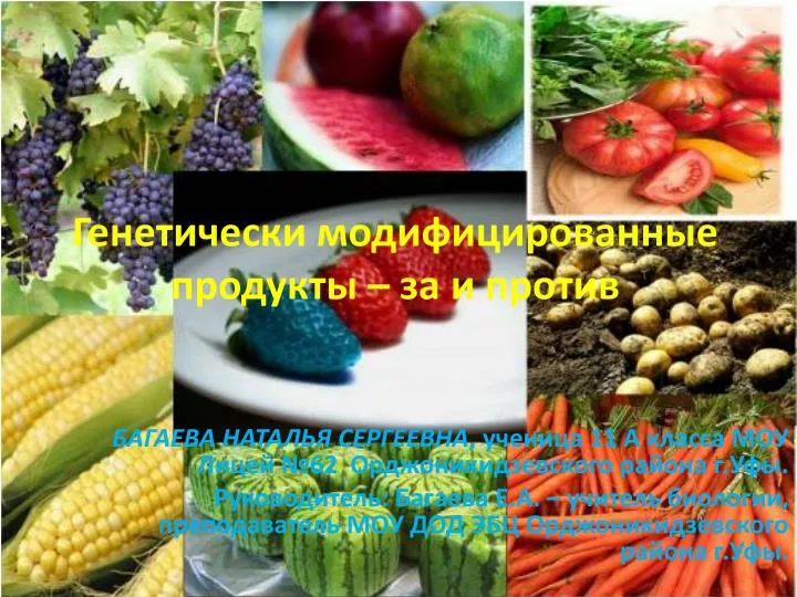 Как сделать гмо сам Как сделать гмо сам