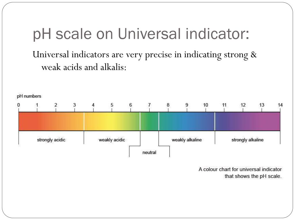 Ppt Acids Bases Universal Indicator And Ph Scale Powerpoint My XXX