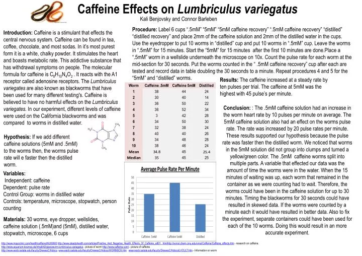 Effects of Caffeine and Nicotine on Lumbriculus
