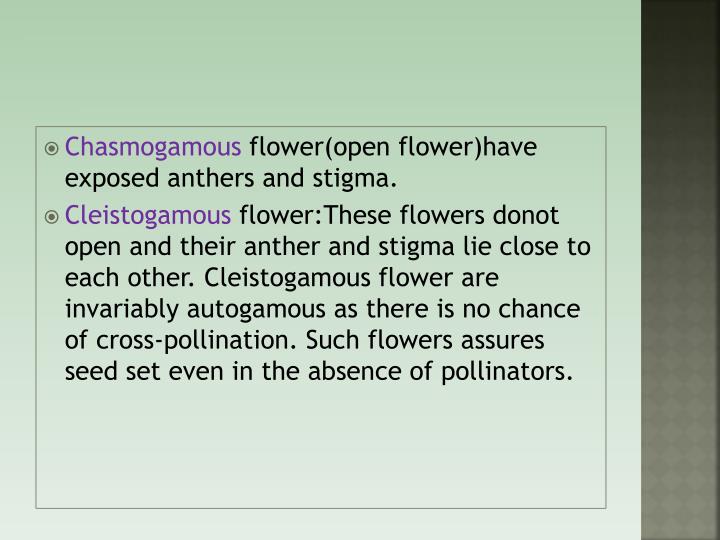 PPT Topic Pollination adaptations PowerPoint Presentation ID2312947