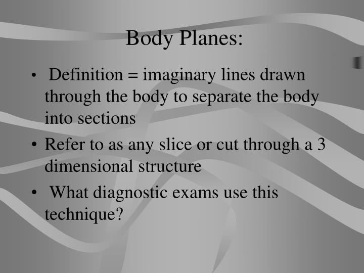 PPT - Body Planes, Directions, and Cavities PowerPoint Presentation