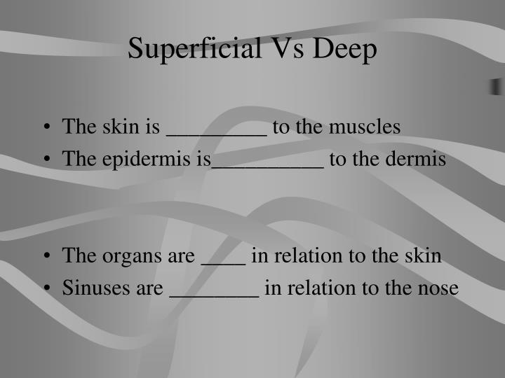 Body Planes, Directions, and Cavities PowerPoint Presentation ... Biology Diagrams