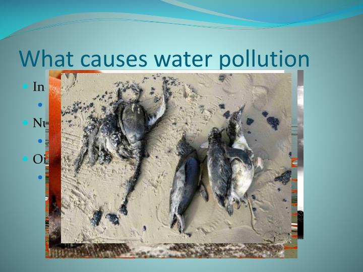 PPT Water Pollution PowerPoint Presentation ID 2339630 ppt-water-pollution-powerpoint-presentation-id-2339630