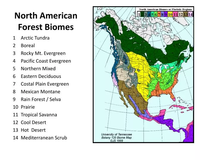 Biomes In North America Map