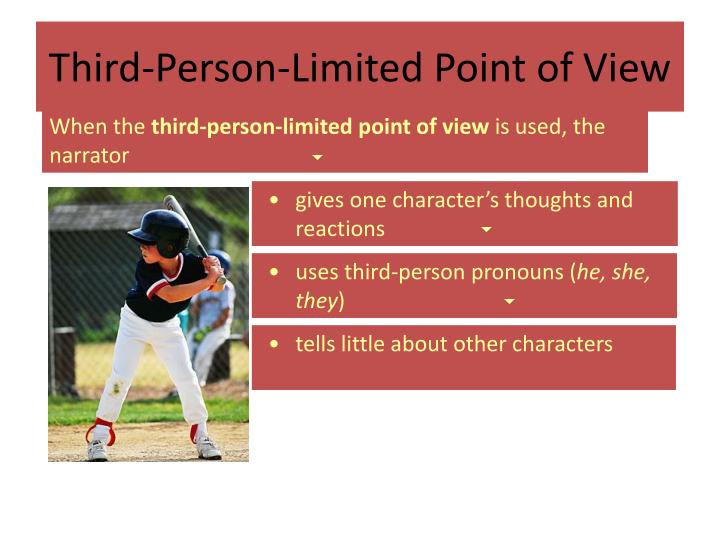 3rd person point of view 3rd person point of view