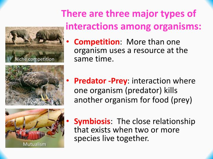 organisms types three major there interactions among organism relationships mutualism commensalism benefit both