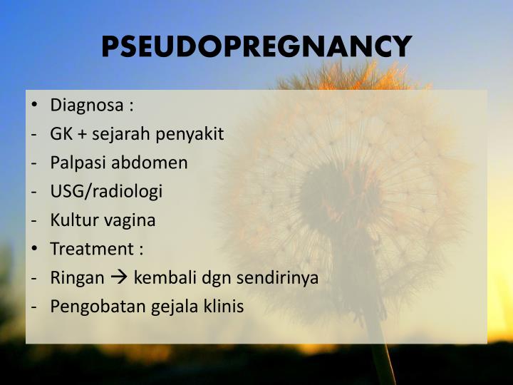 Ppt Siklus Estrus Ovari Uterus Dan Pseudopregnancy Powerpoint