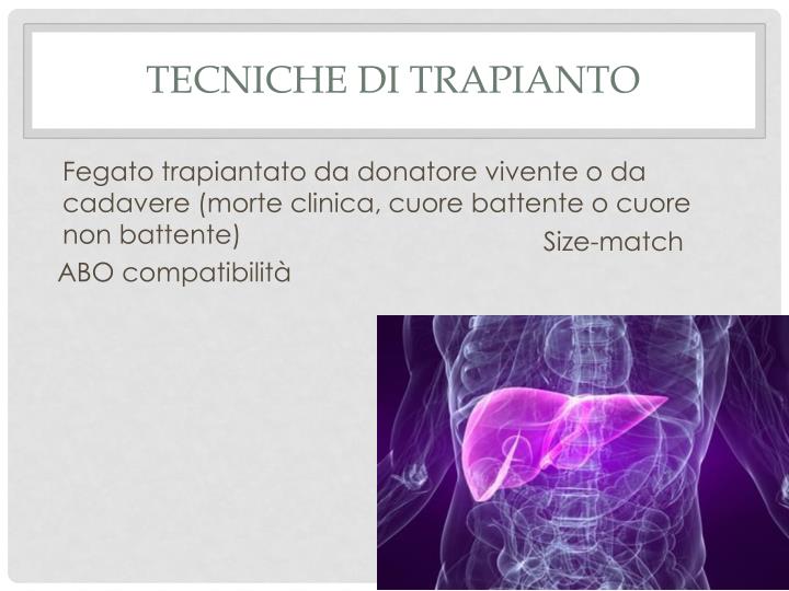 Il ristagno in una vena in una gamba come trattare