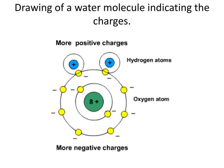 Best Draw A Sketch Of The Components Of Water Molecules with Pencil