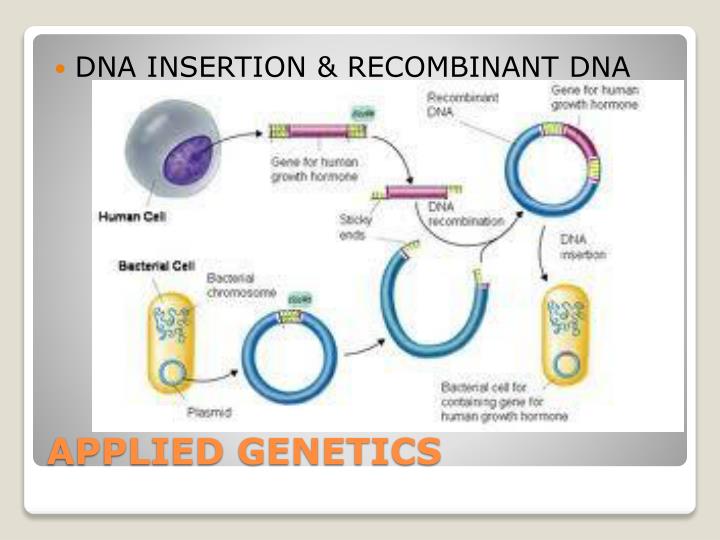 online lipids lipophilic components and essential oils from