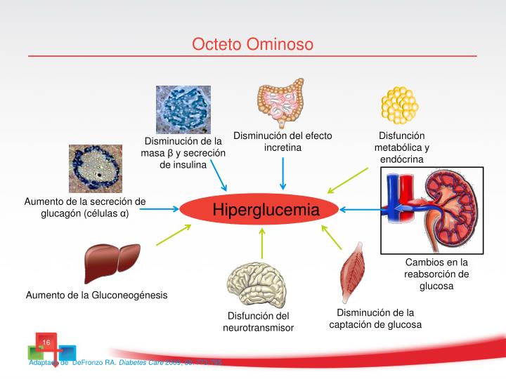PPT - Diabetes Mellitus Tipo 2 Tratamiento después de la PPT - Diabetes Mellitus Tipo 2 Tratamiento después de la