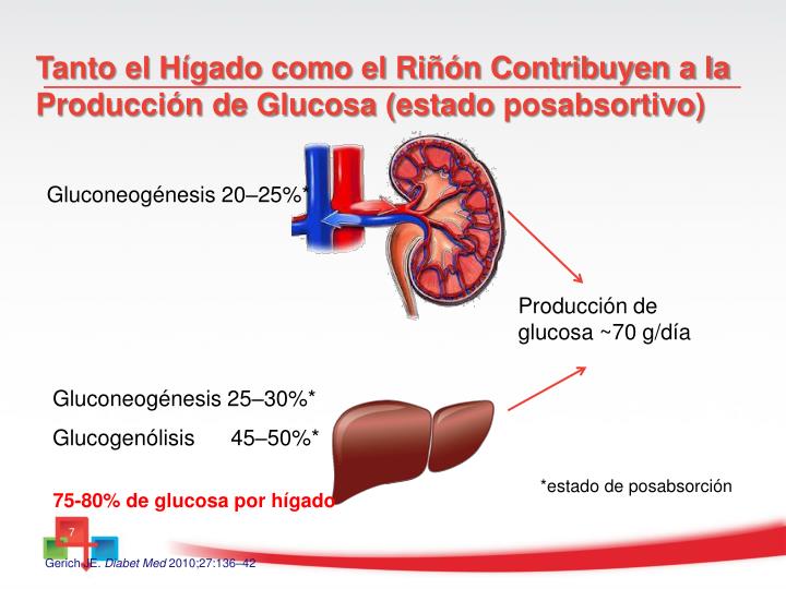 PPT - Diabetes Mellitus Tipo 2 Tratamiento después de la PPT - Diabetes Mellitus Tipo 2 Tratamiento después de la