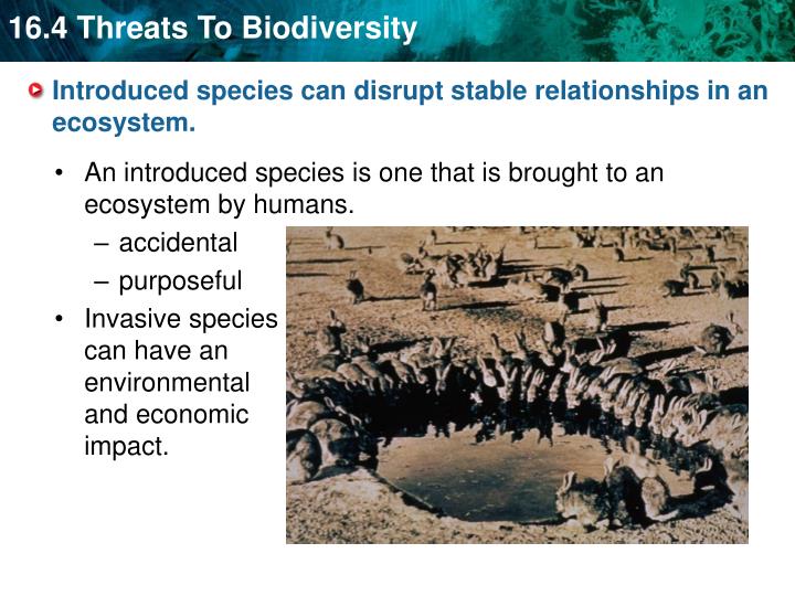 what effect do alien species have on biodiversity what effect do alien species have on biodiversity