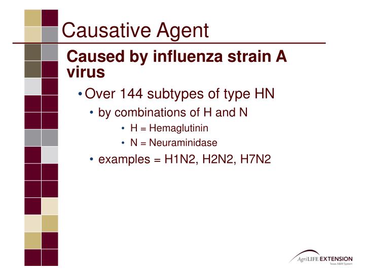 what is the meaning of causative agent