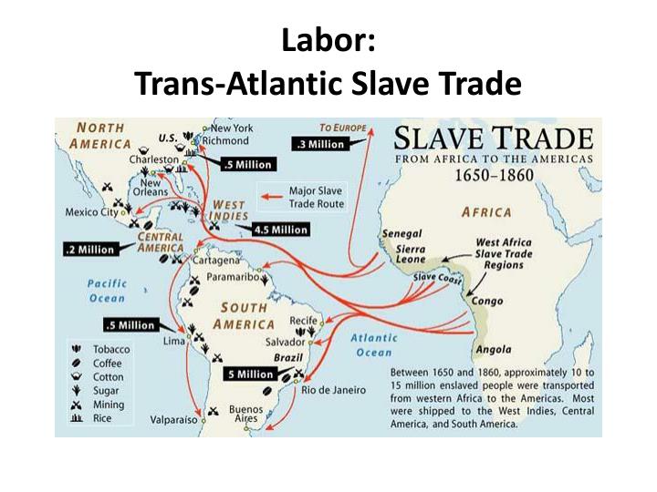 Trans african slave trade system