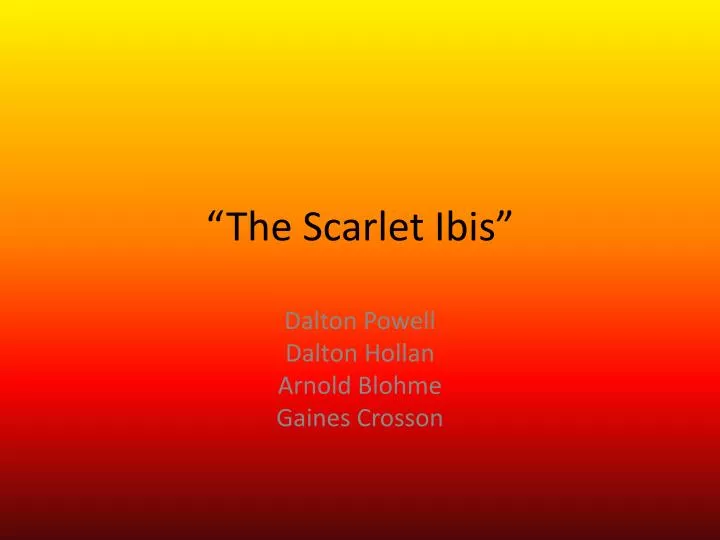 analytical essay over the scarlet letter analytical essay over the scarlet letter