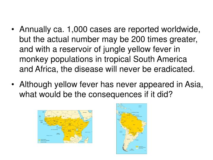 The history of yellow fever   rutgers university