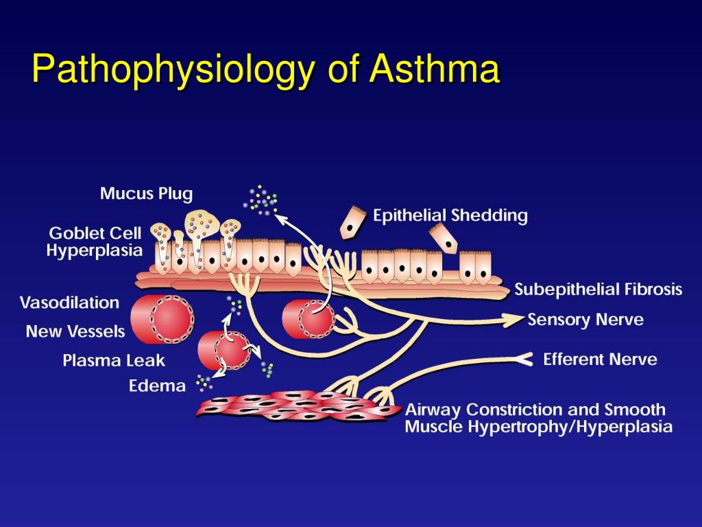 Asthma suffers last fan pic