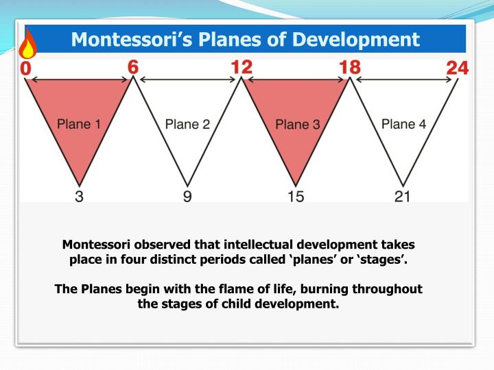 four planes of development Four planes of development i introduction education as an aid to life the montessori method is actually a philosophy of education that. four planes of development Four planes of development i introduction education as an aid to life the montessori method is actually a philosophy of education that.