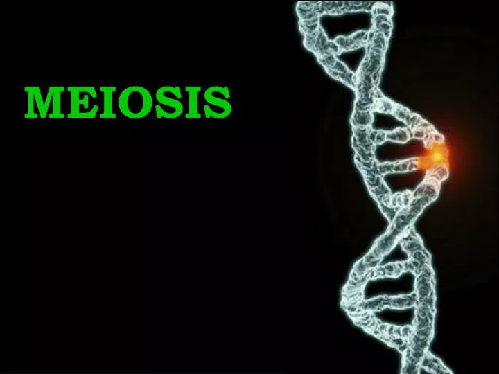 How many sex chromosomes should a human gamete contain