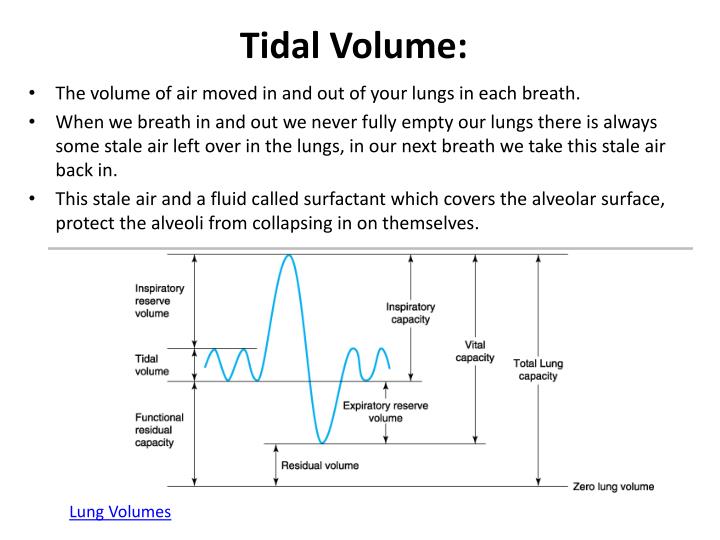 ucdenver.edu nih predicted body weight tidal volume chart ucdenver.edu nih predicted body weight tidal volume chart