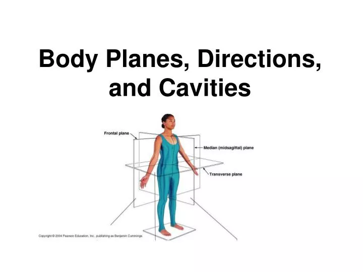 Ppt Body Planes Directions And Cavities Powerpoint Presentation